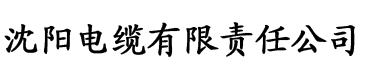 成色抖音短视频安装软件电缆厂logo